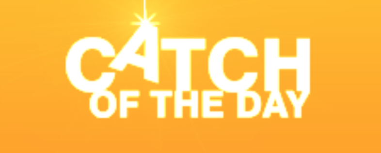 Catch of the Day image.png